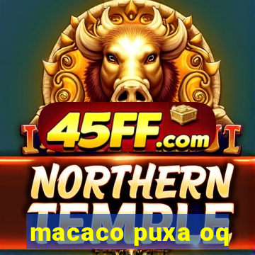 macaco puxa oq